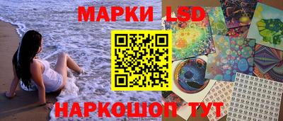 сатива Будённовск