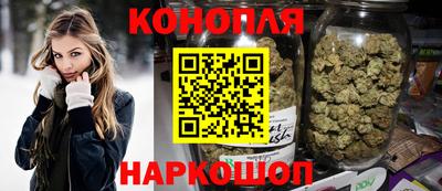 сатива Будённовск