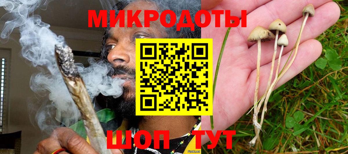 Галлюциногенные грибы мухоморы Трёхгорный